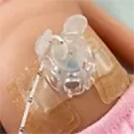 Fetal Maternal Health